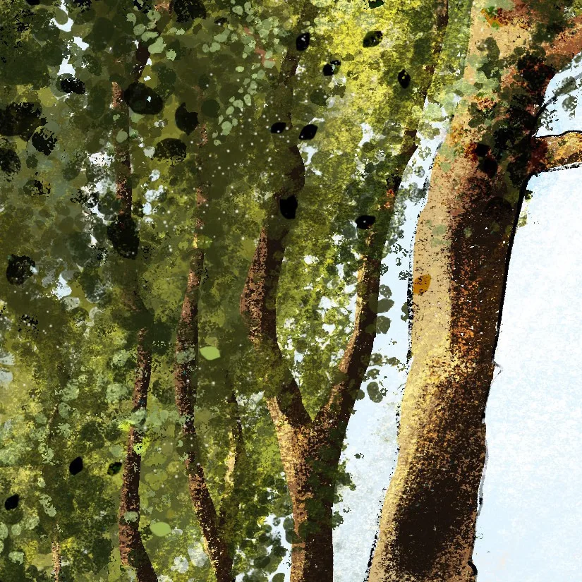 Procreate Background Illustration, imagem 4