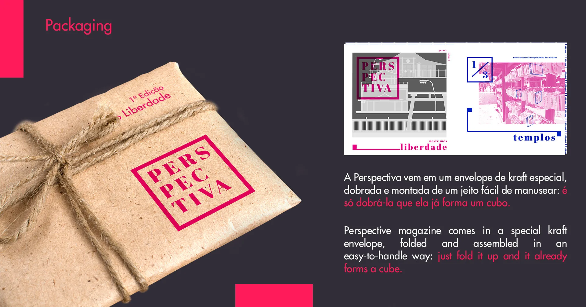 Revista Perspectiva, imagem 21